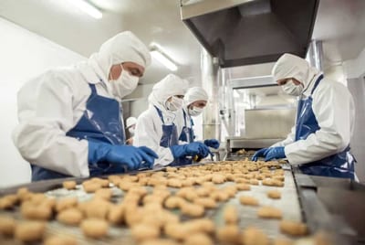 disinfestazione industrie alimentari